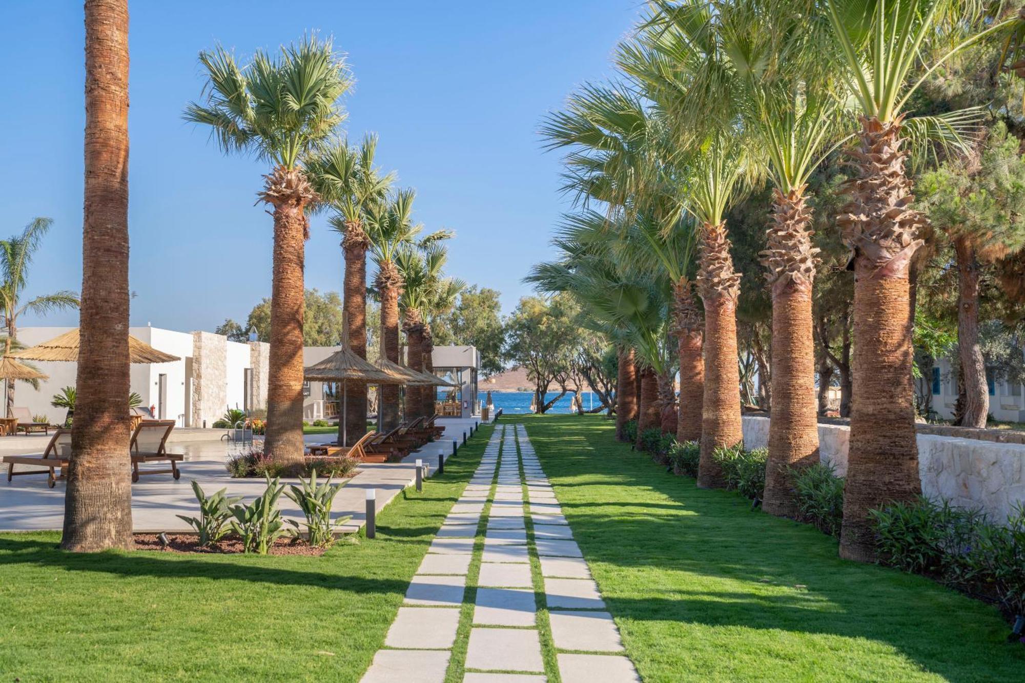 אורטקנט Regia Mare Beach Hotel & Spa Bodrum מראה חיצוני תמונה